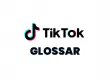 TikTok Glossar & FAQ